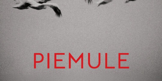 sevcikova flier piemule x