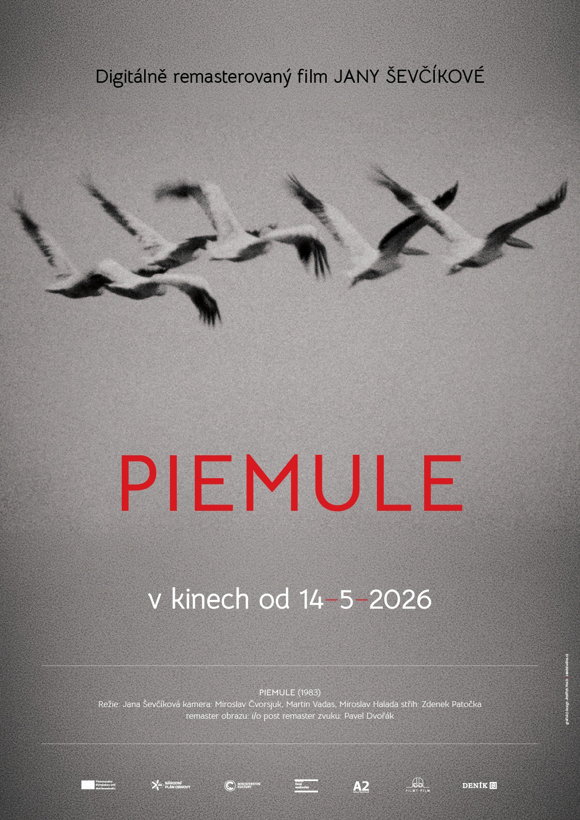 sevcikova flier piemule